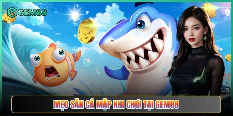 Mẹo Săn Cá Mập Khi Chơi Tại Gem88