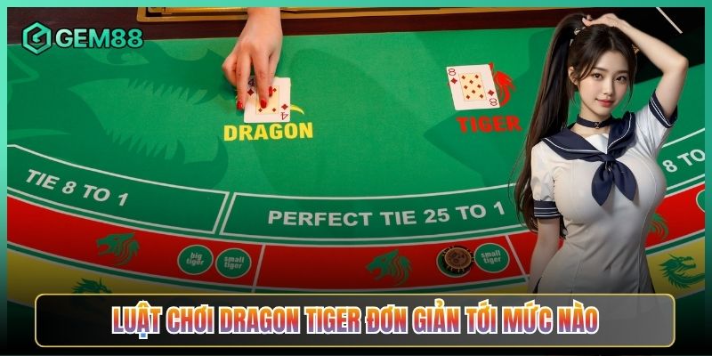 Luật Chơi Dragon Tiger Đơn Giản Tới Mức Nào