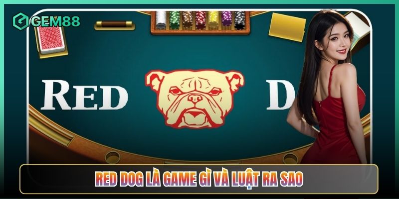 Red Dog Là Game Gì Và Luật Ra Sao