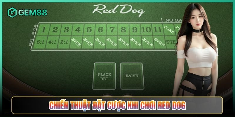 Chiến Thuật Đặt Cược Khi Chơi Red Dog