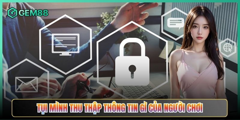 Tụi Mình Thu Thập Thông Tin Gì Của Người Chơi