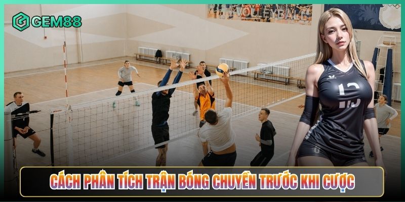 Cách Phân Tích Trận Bóng Chuyền Trước Khi Cược